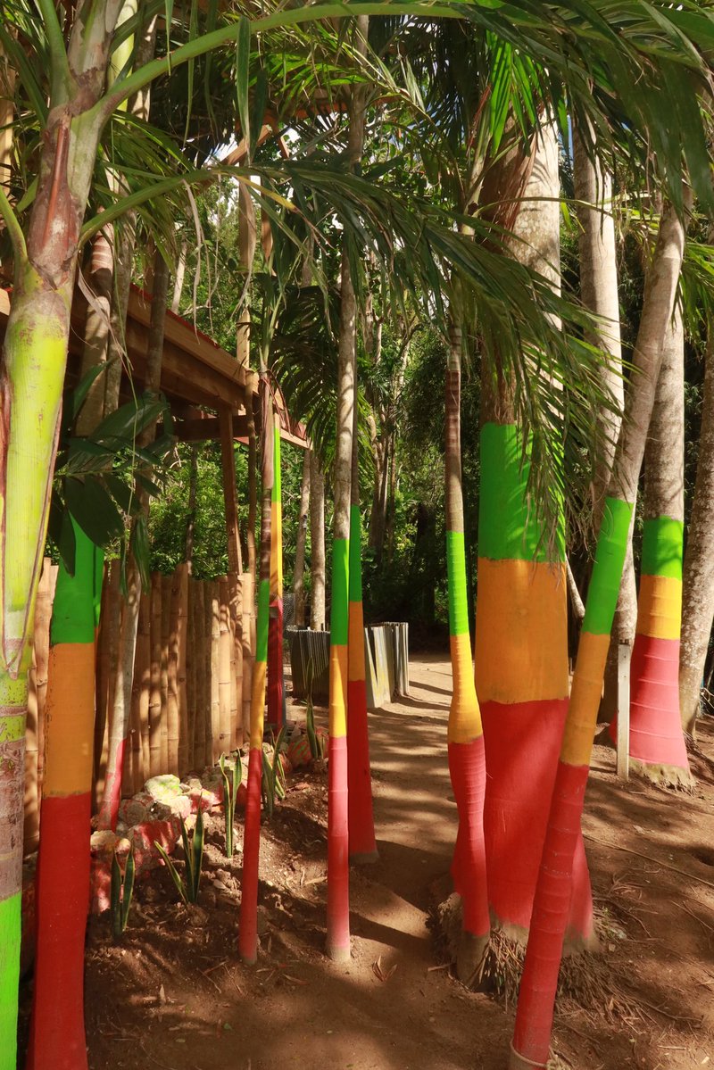 ashh. ♏︎ tweet media