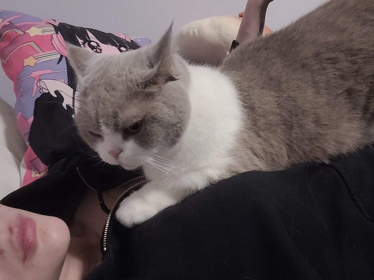 Ellunya ദ്ദി ˉ͈̀꒳ˉ͈́ )✧ ● tweet media