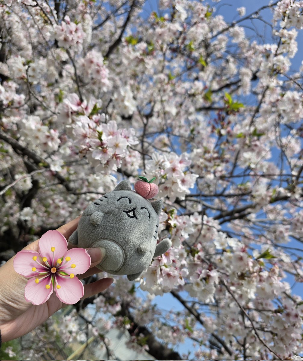 ありんこゆ tweet media