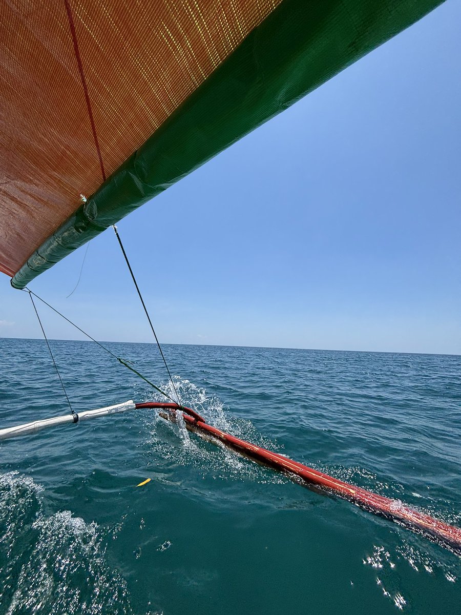 Mita🩺 tweet media