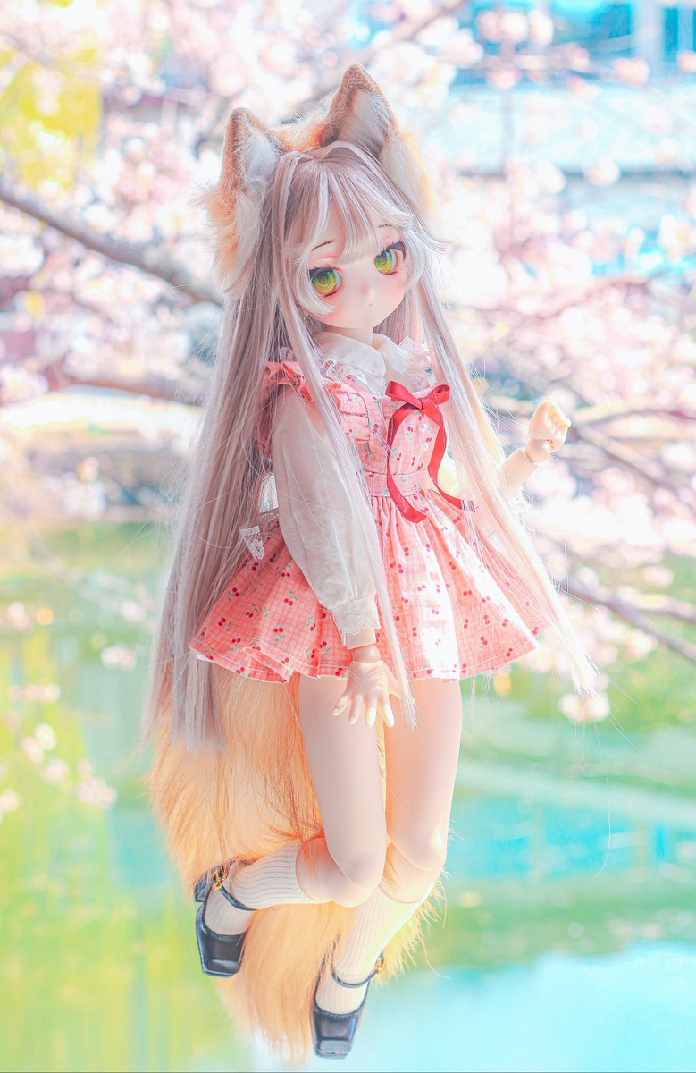 🩷양쨍/YANG🩷 tweet media