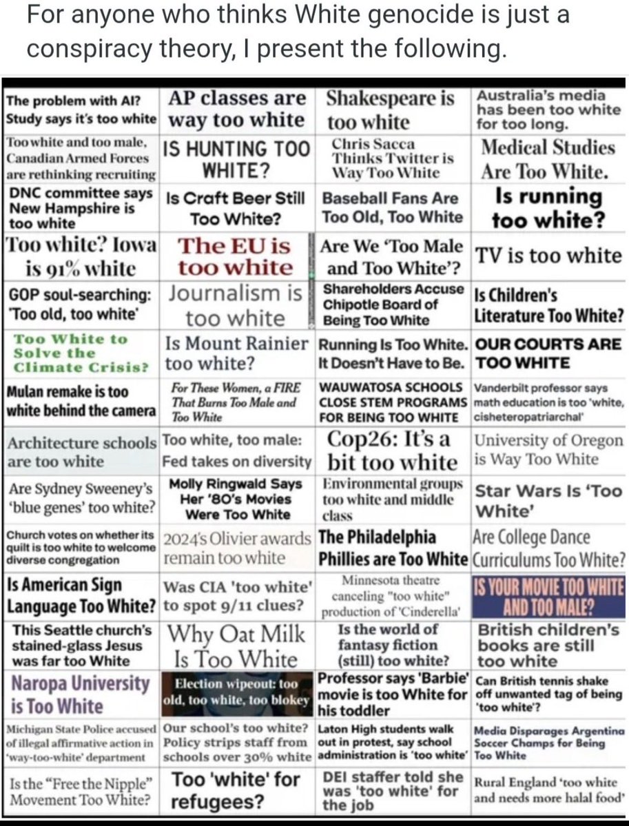 Dion Celine tweet media