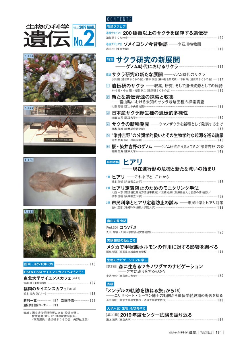 エヌ・ティー・エス【公式】 tweet media