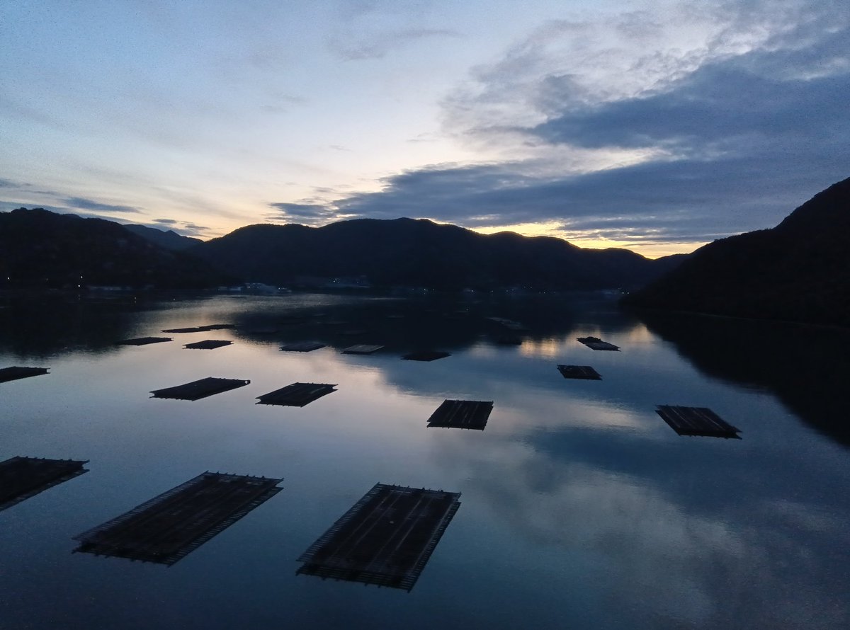 日焼けさん【ひとがたポケモン】 tweet media