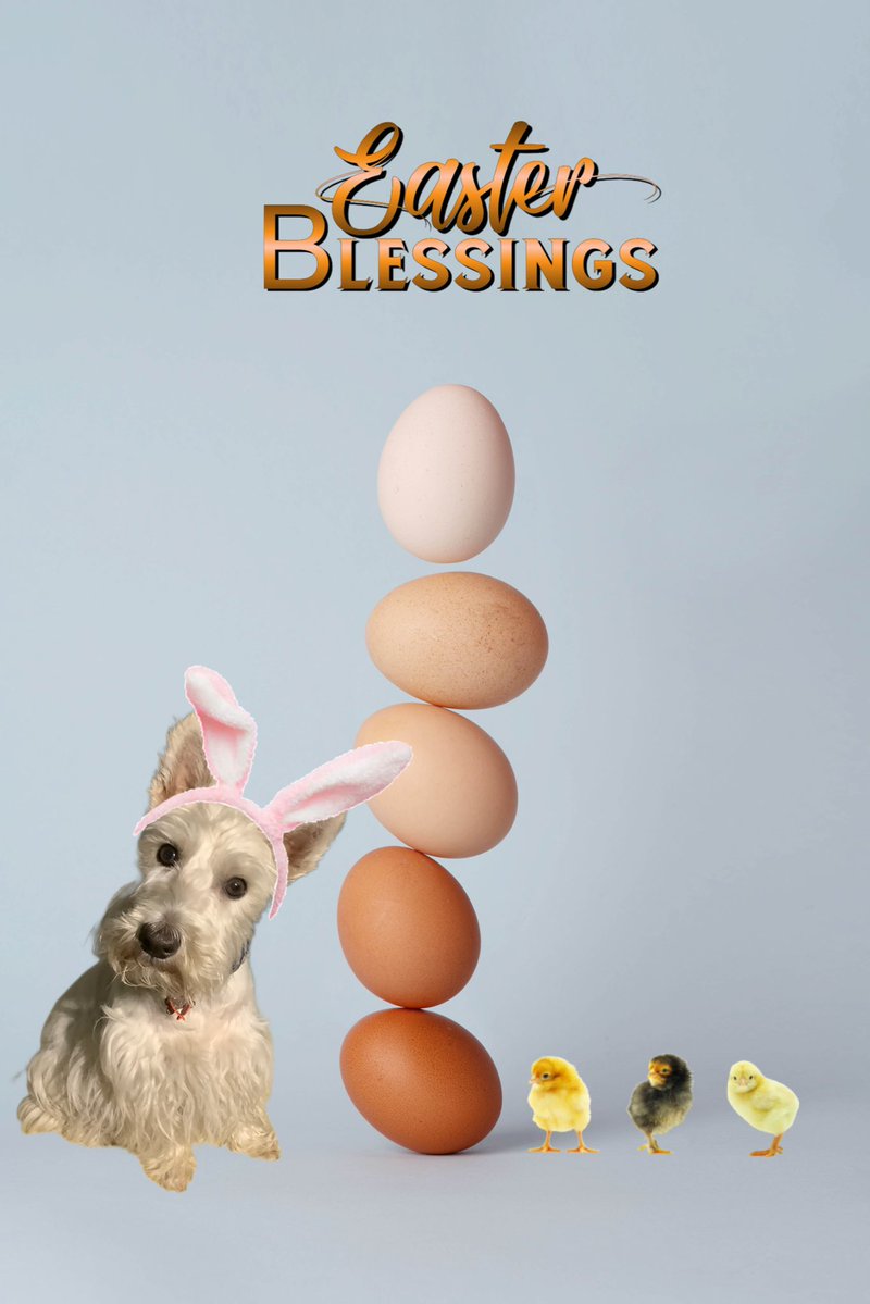 Maggie giver of hugs & goodwill. tweet media