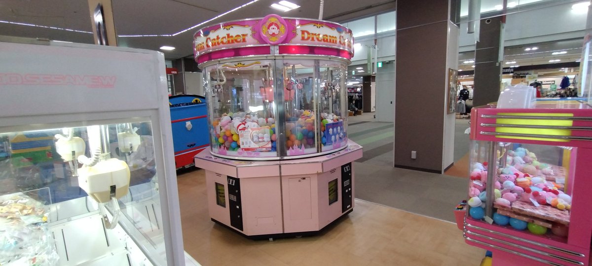 透明のだいだい tweet media