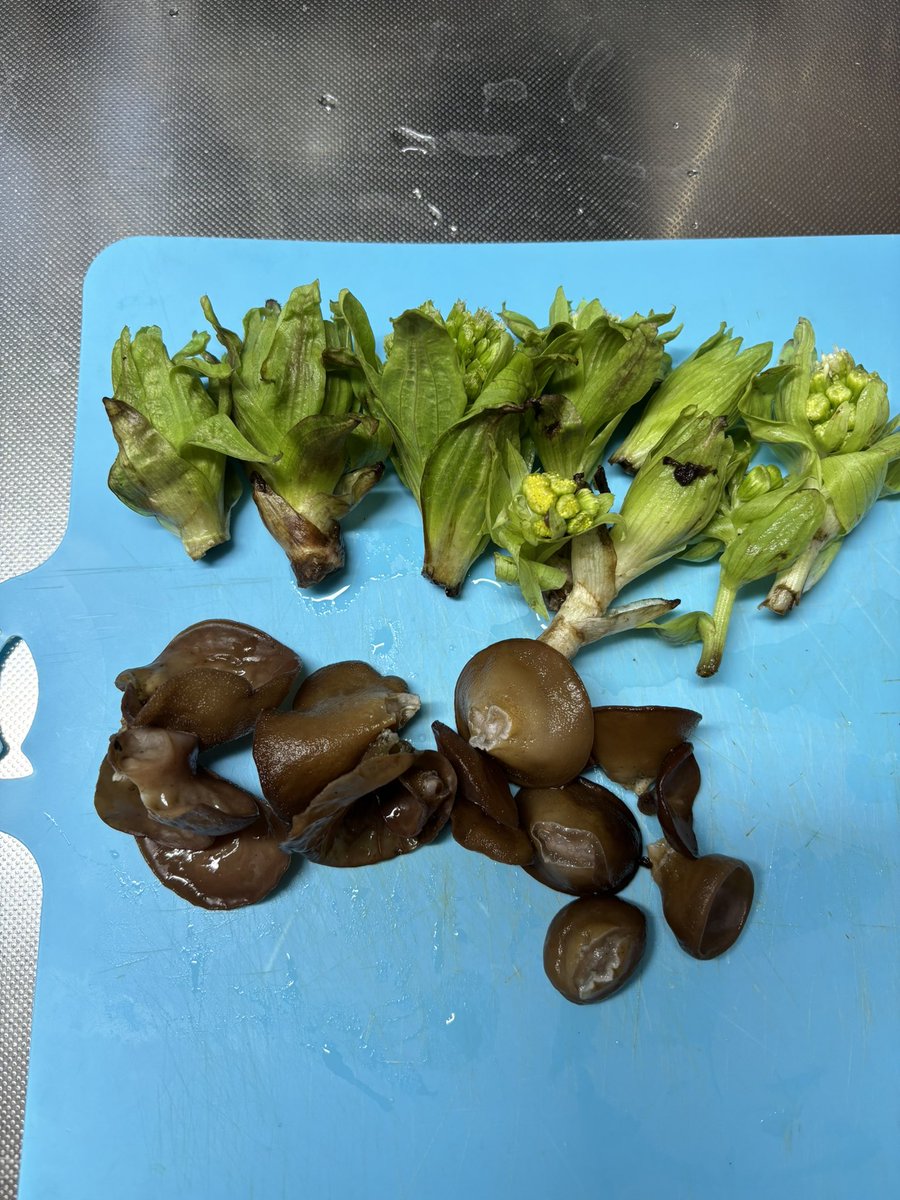 たりーと(フィッシング垢) tweet media