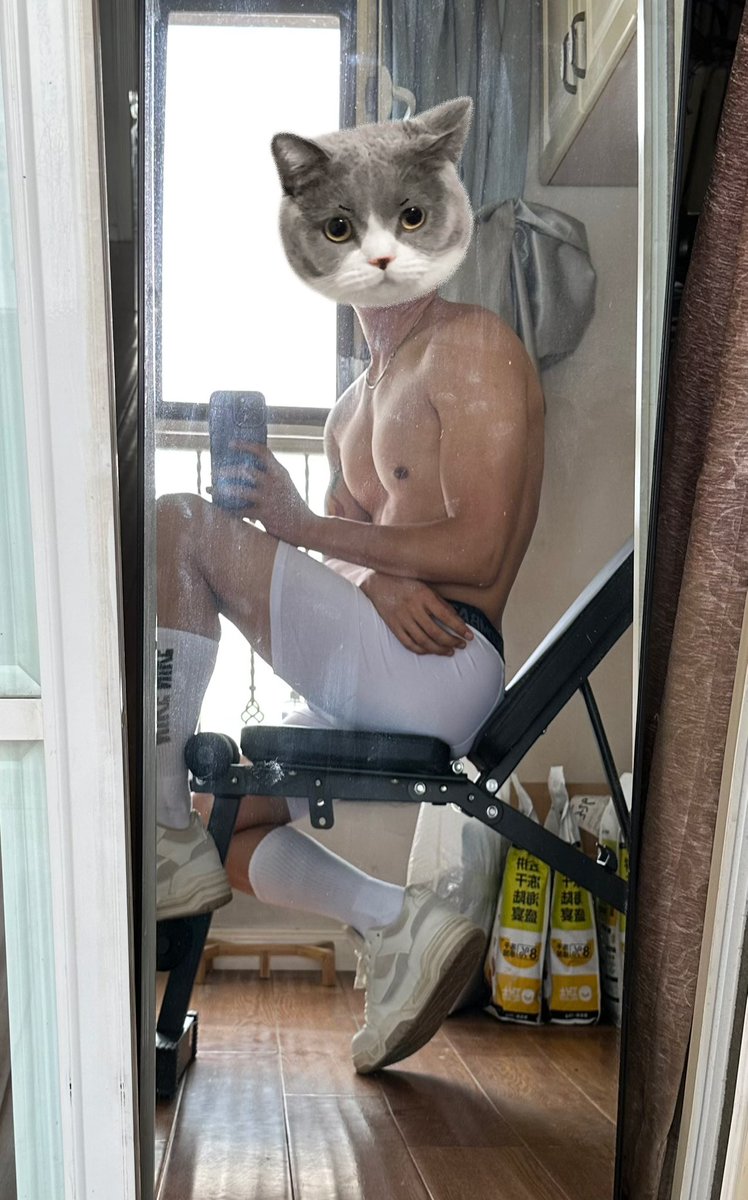 九尾（重启版） tweet media