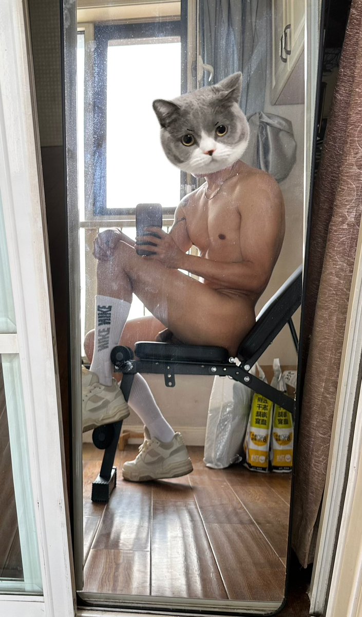 九尾（重启版） tweet media