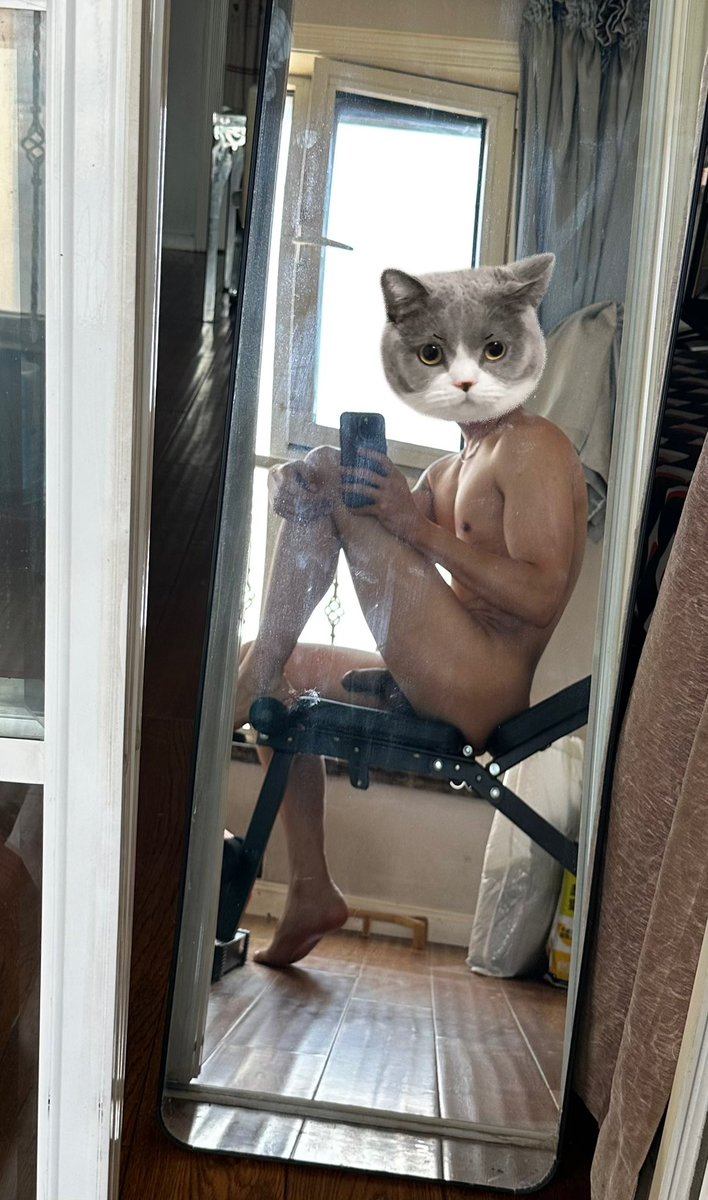 九尾（重启版） tweet media