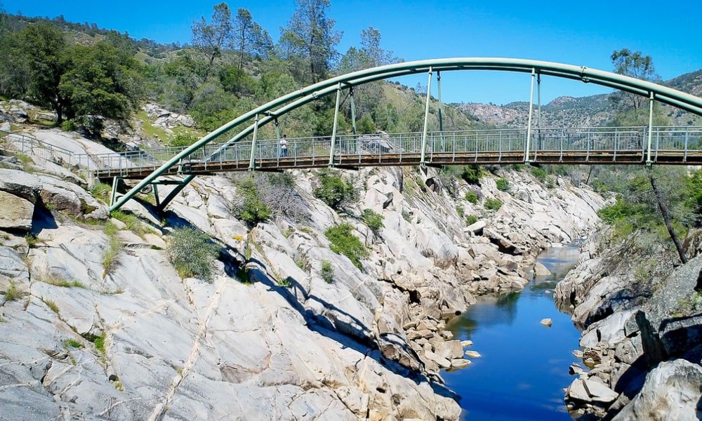 RacaPaya 🇺🇸 tweet media