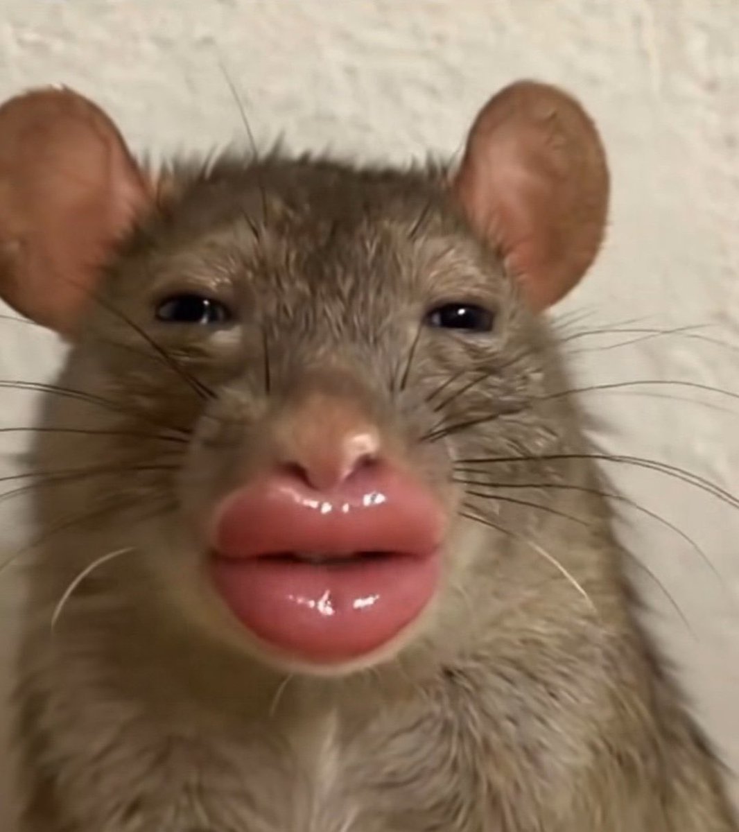 bonequinha de lixo tweet media