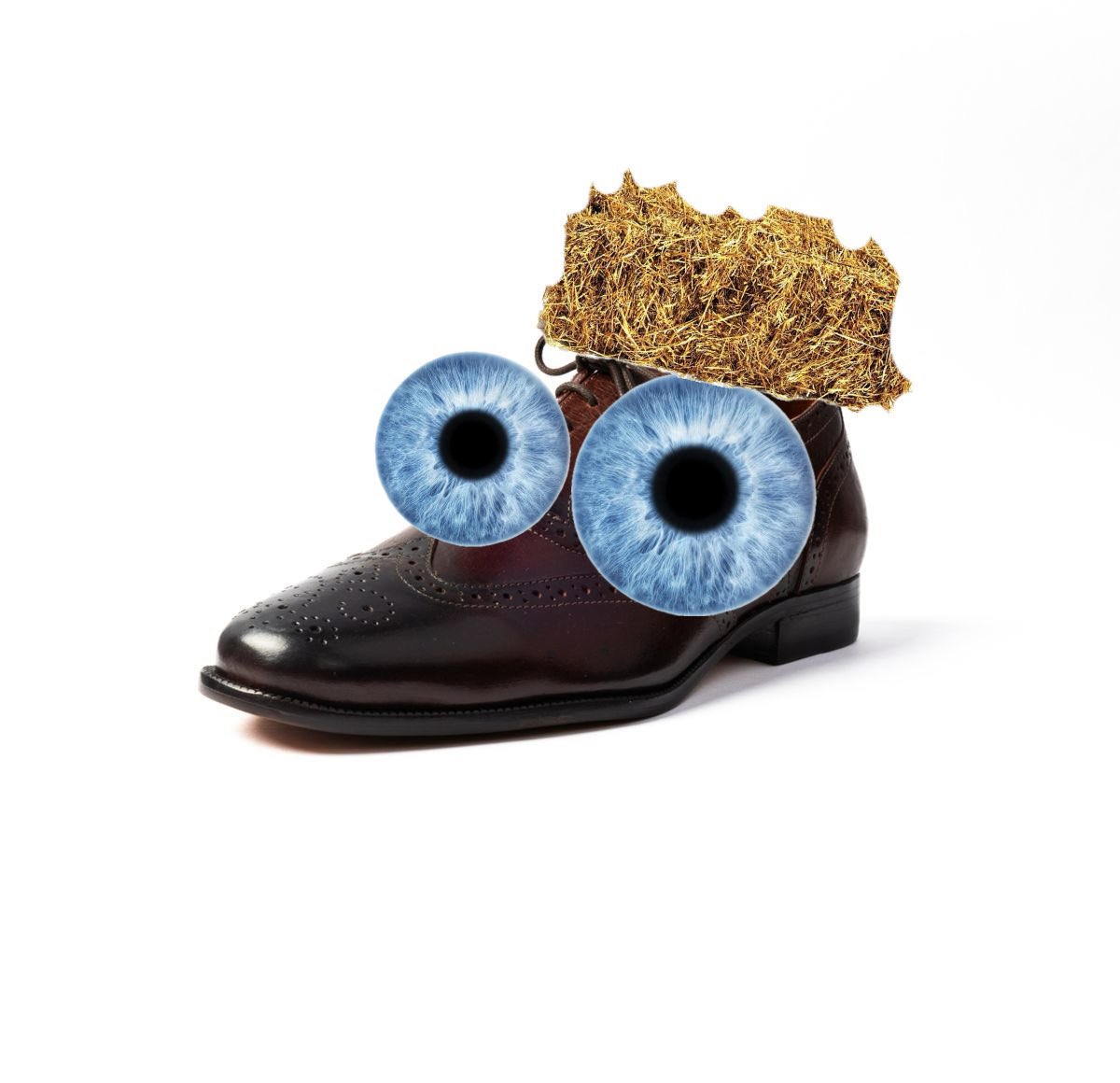 acervotavio's tweet photo. estático bota com dois olhos azuis e palha seca na parte de cima https://t.co/Le0olS86vL