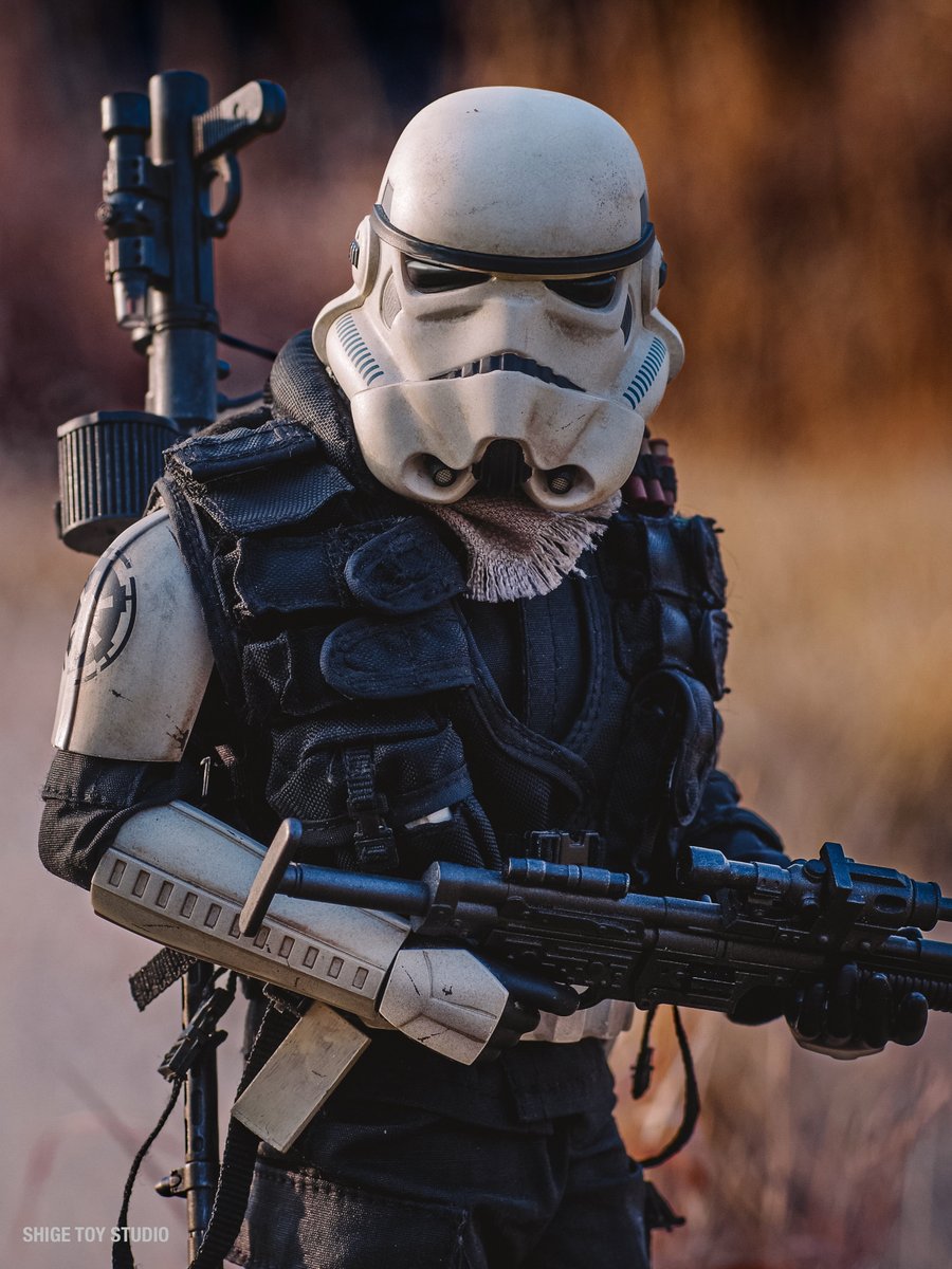 SHIGE TOY STUDIO tweet media