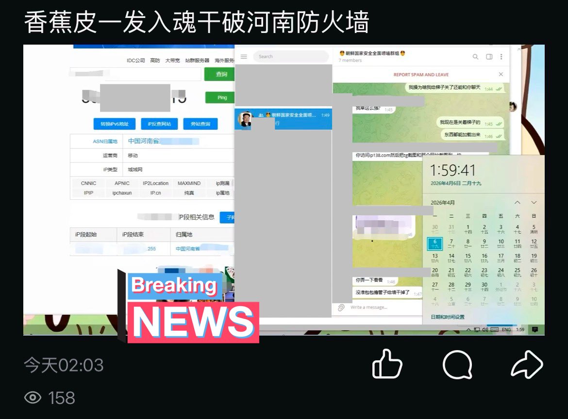 HaliForX tweet media