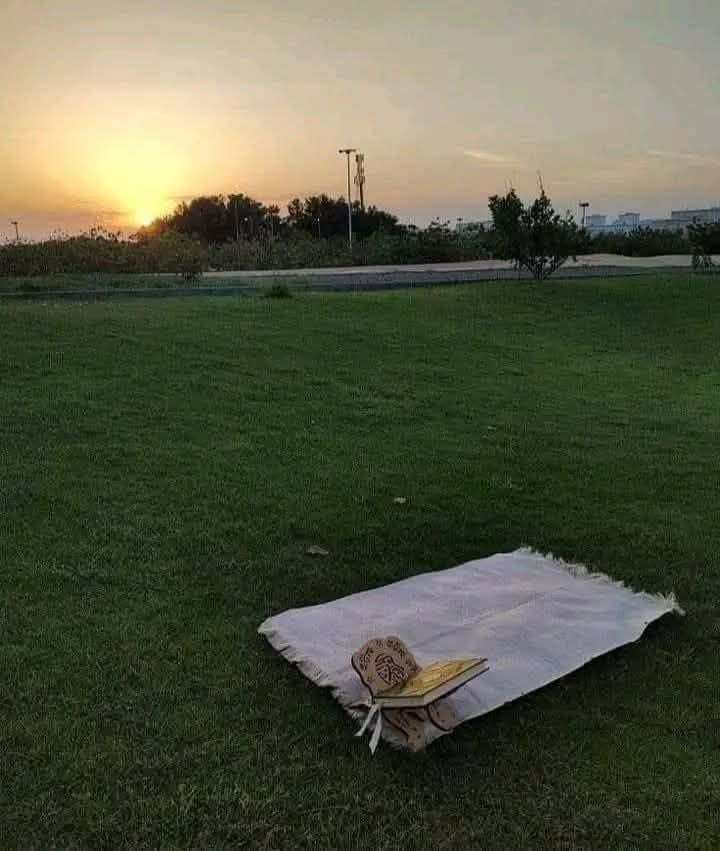 نُهى 💫 tweet media