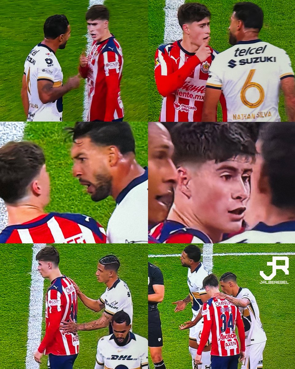 JalbeRebel tweet media