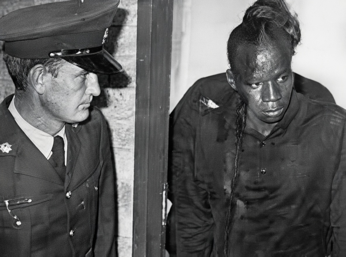 peak world tweet media