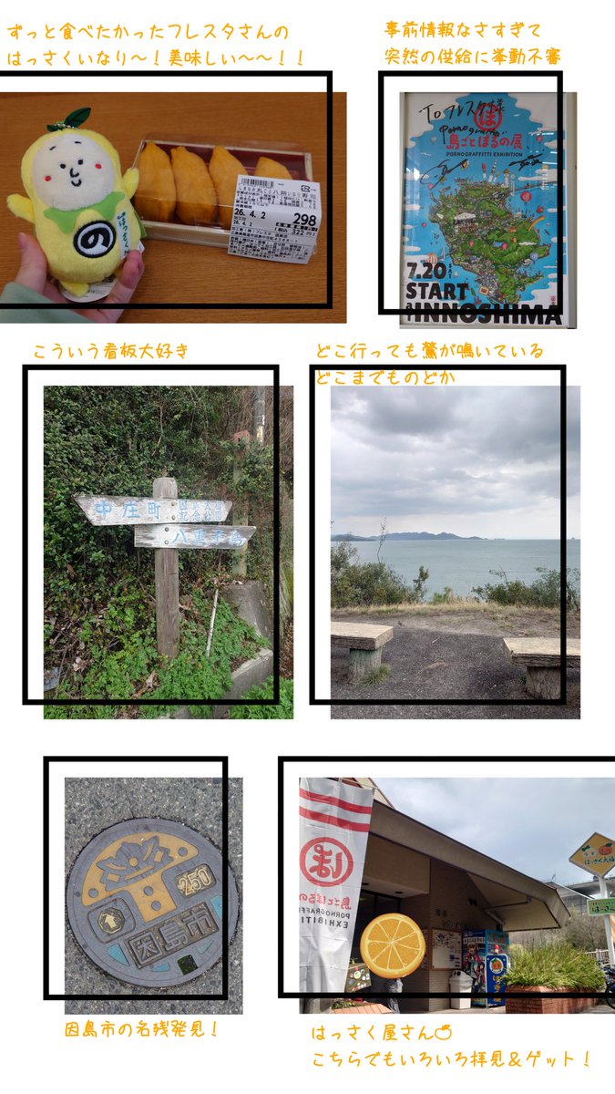 ぽんぽん tweet media