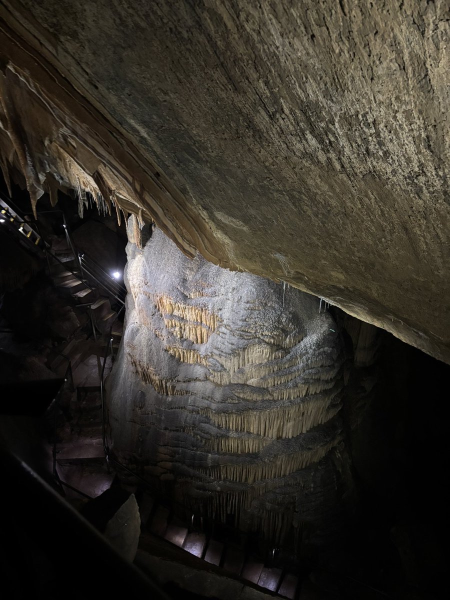 omgこぽん tweet media