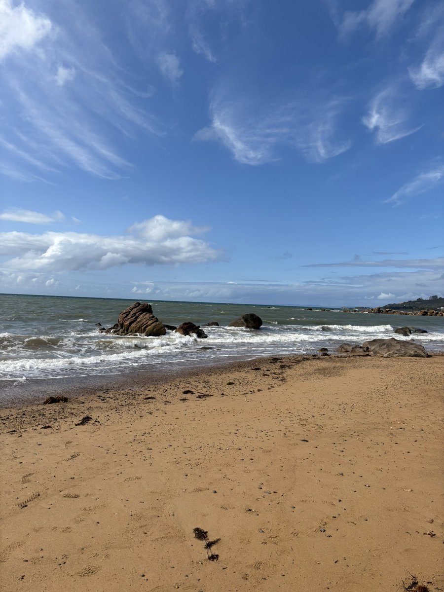 omgこぽん tweet media