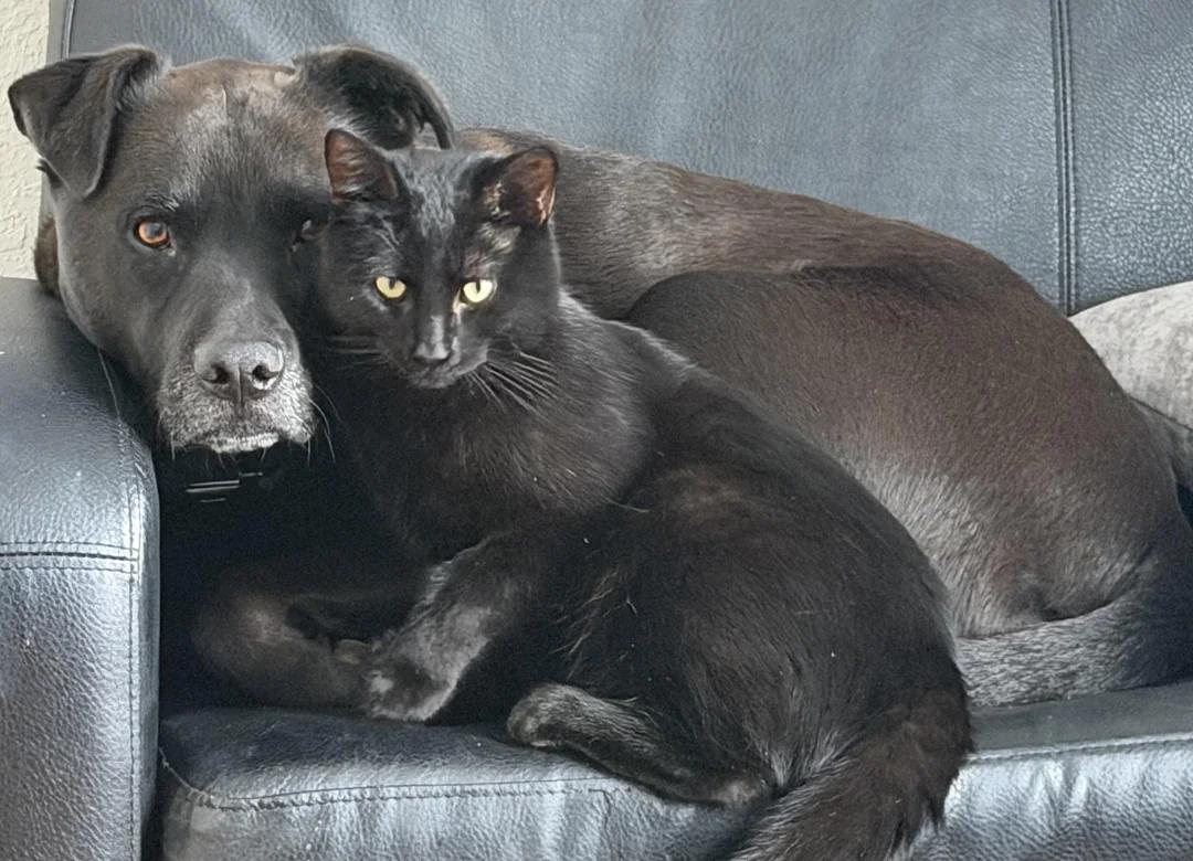 Sara Mary ⭐❤️ tweet media