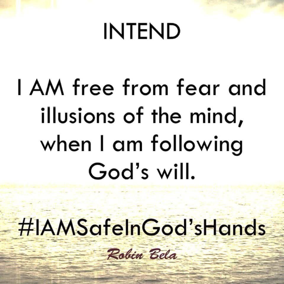 Robin Bela tweet media