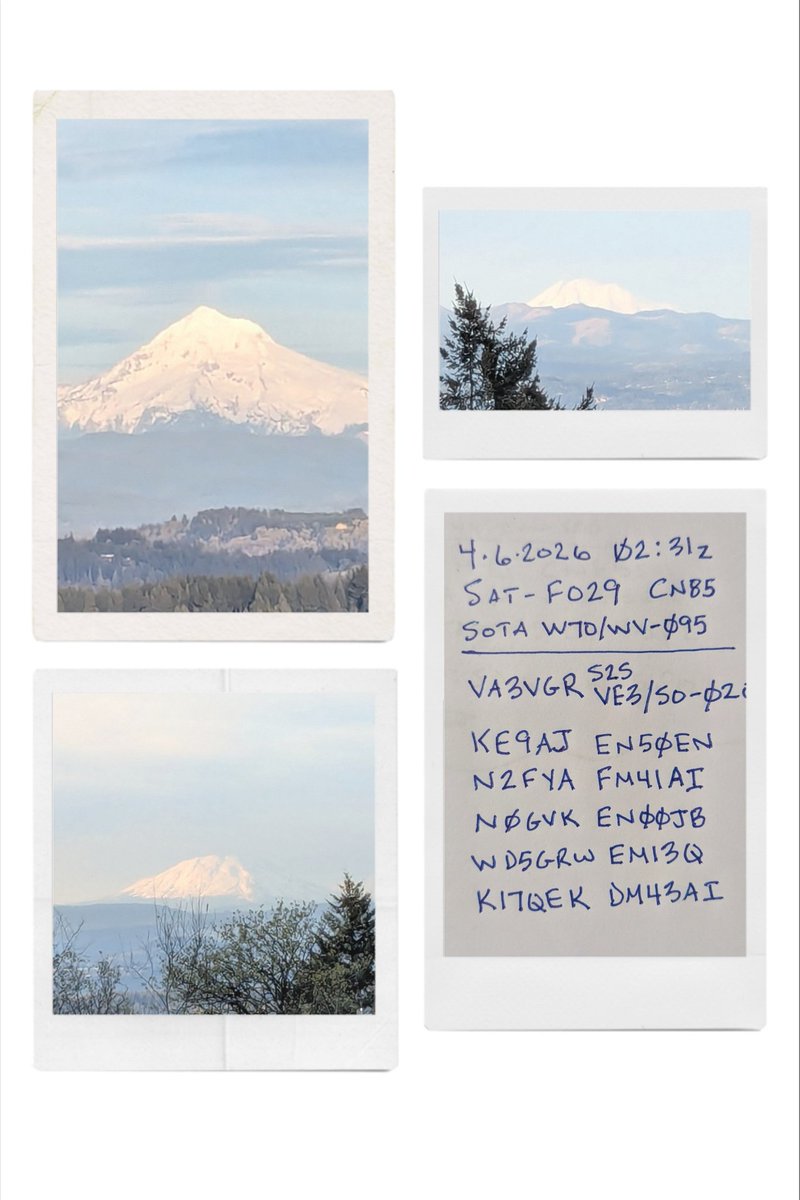 Sean Borgerson tweet media