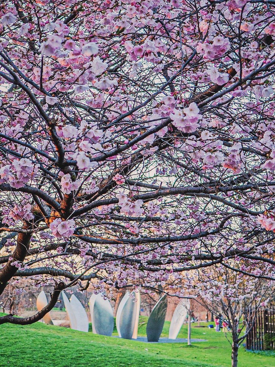 Joshua Mellin tweet media