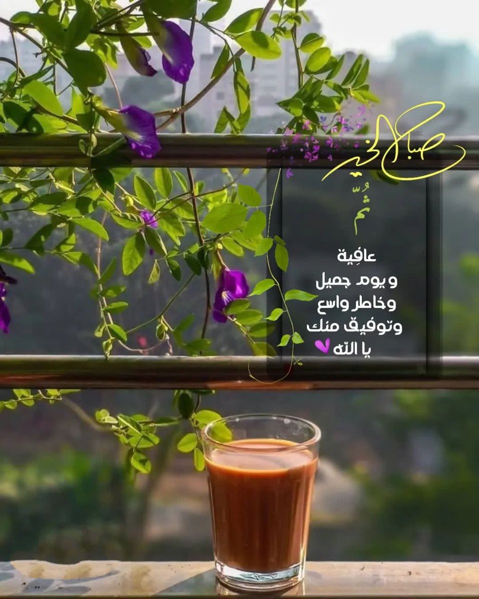 🌸maha🌸 tweet media