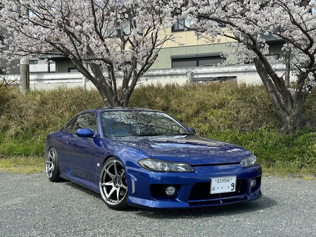 ドリチル tweet media