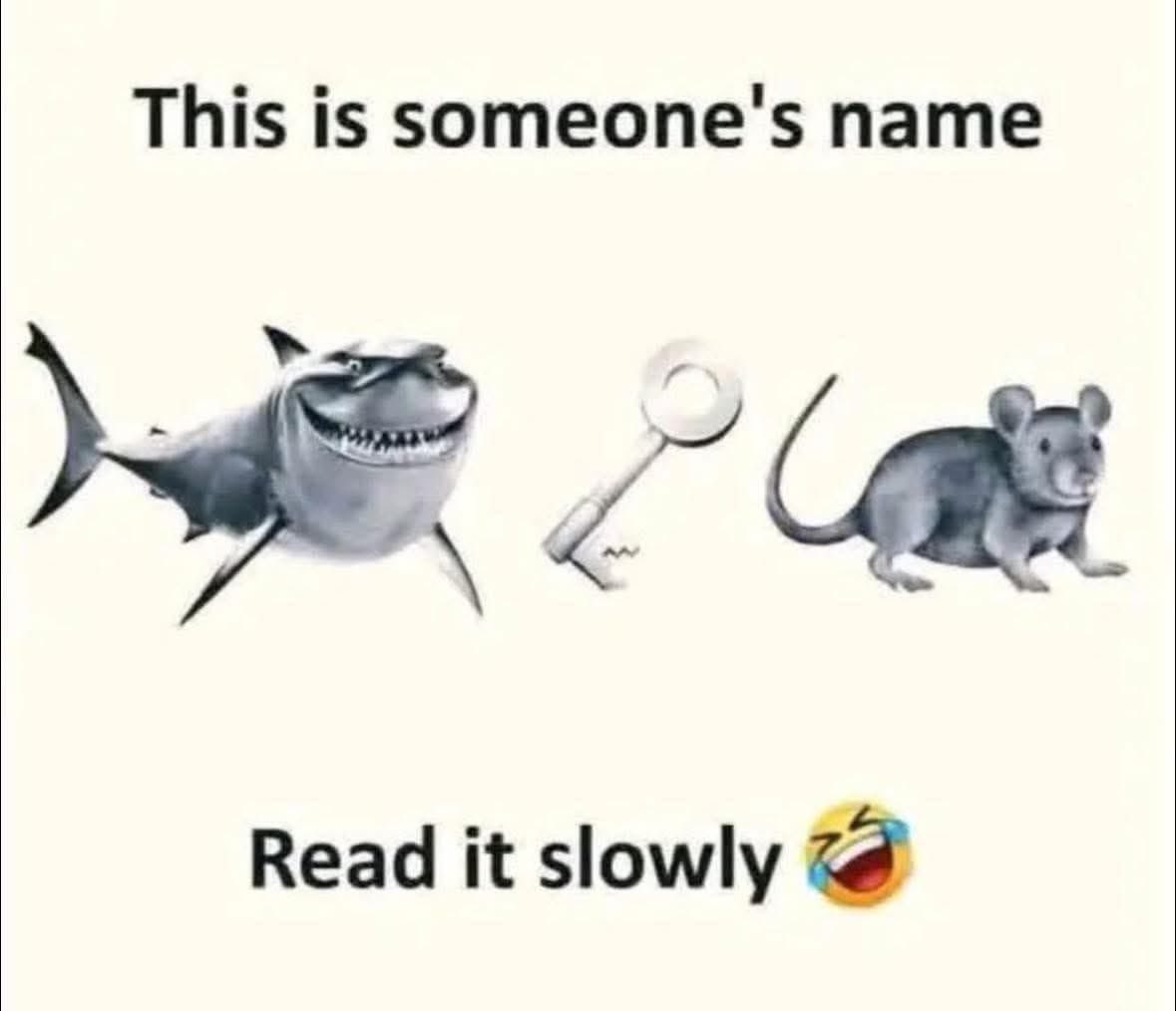 Maryam Fatima 🎀 tweet media