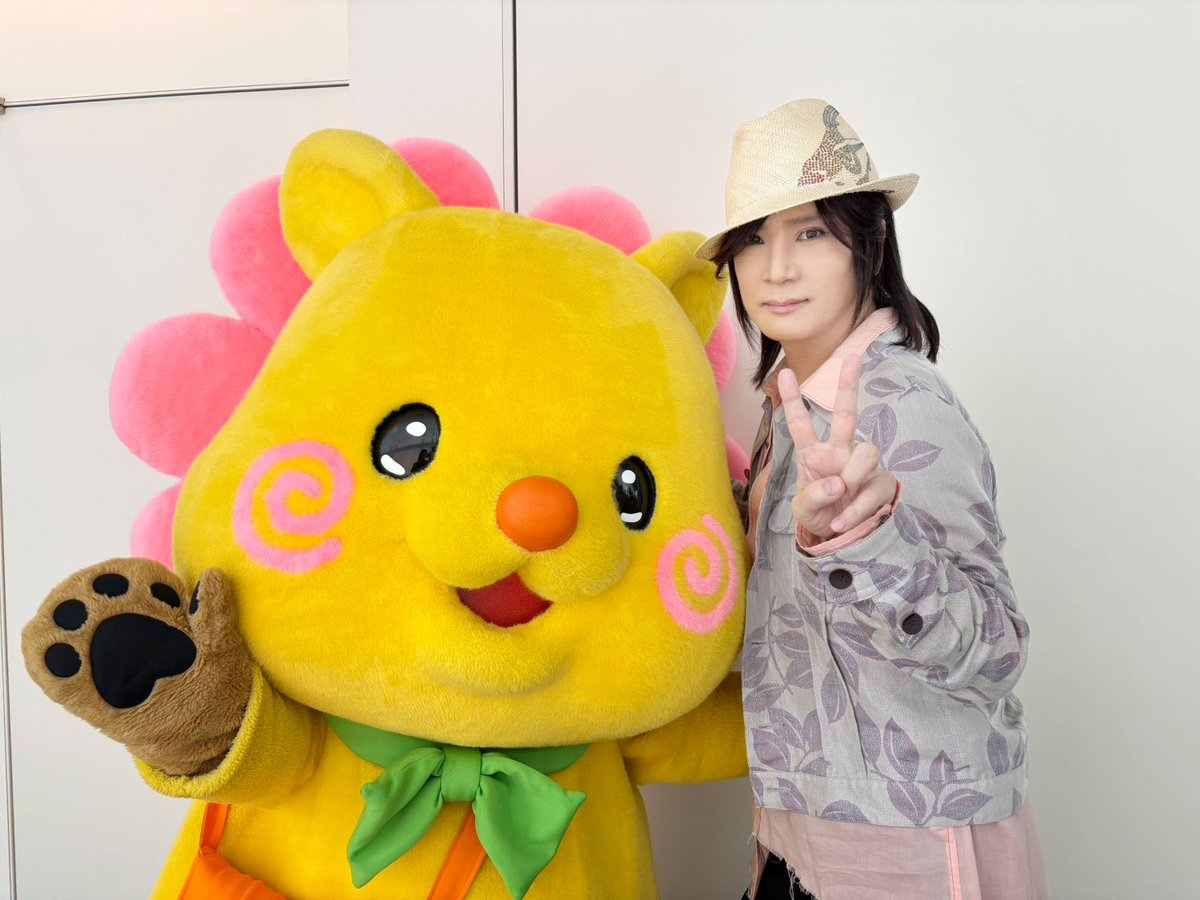 ヒルナンデス!【公式】 tweet media