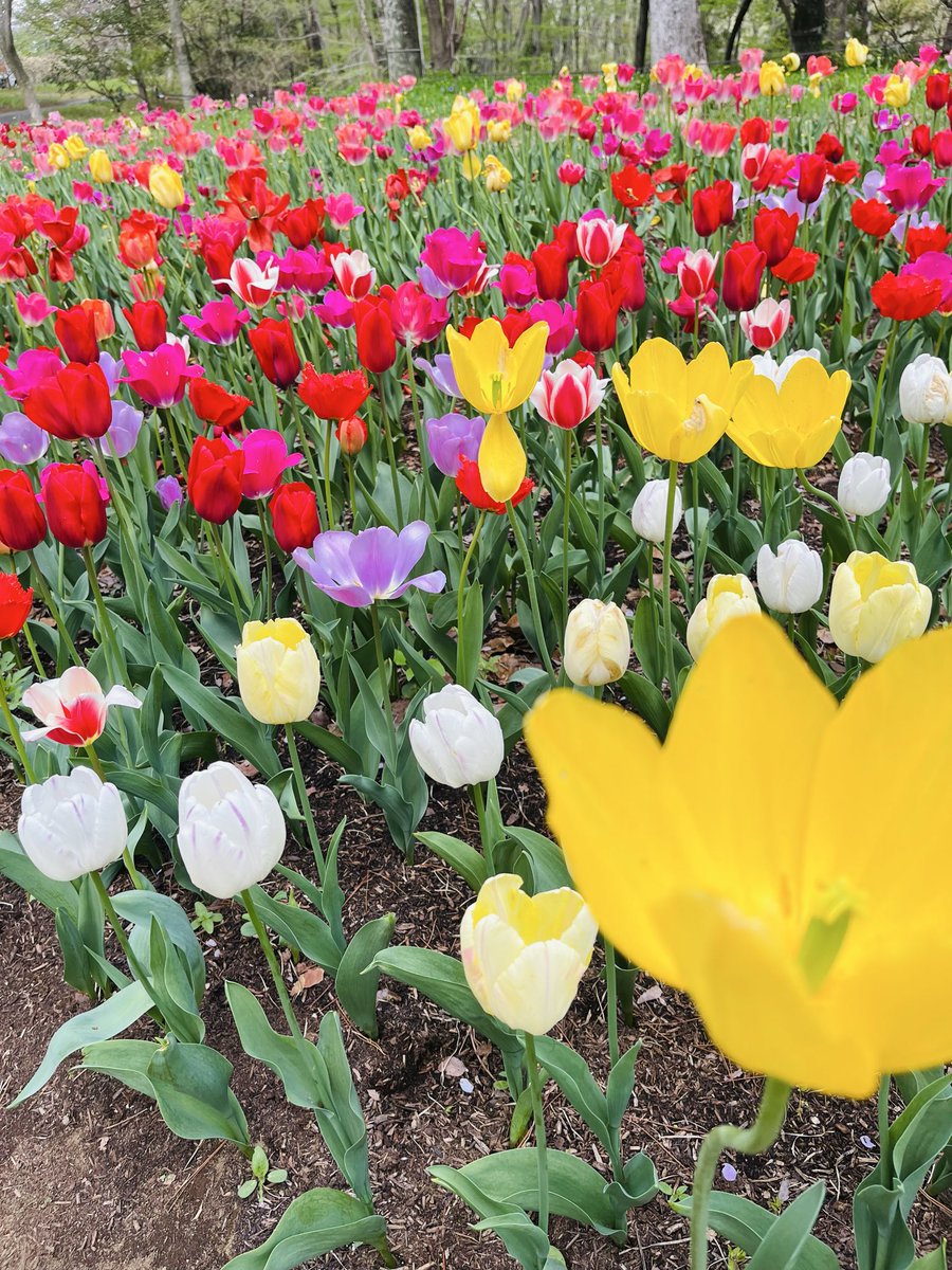 ひちゃん tweet media