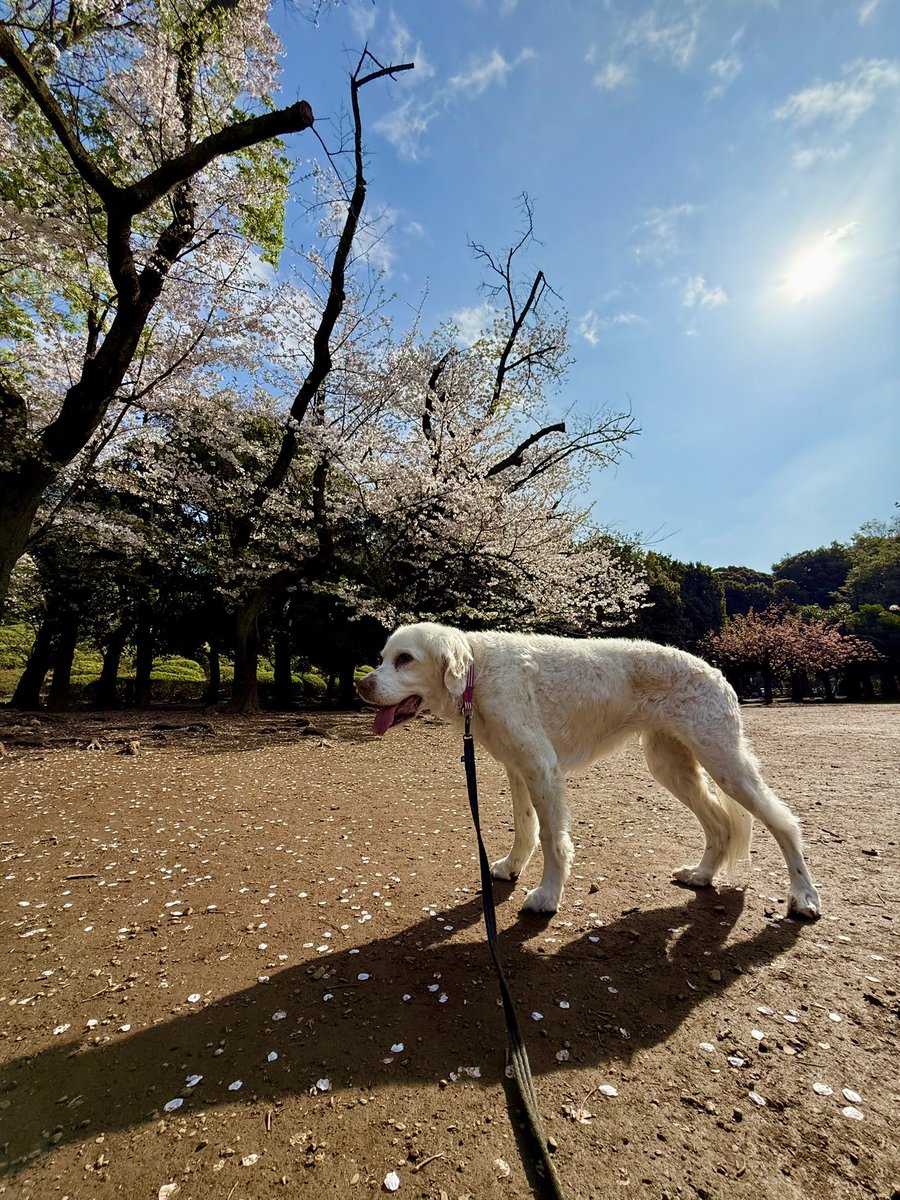 Takashi Oi tweet media