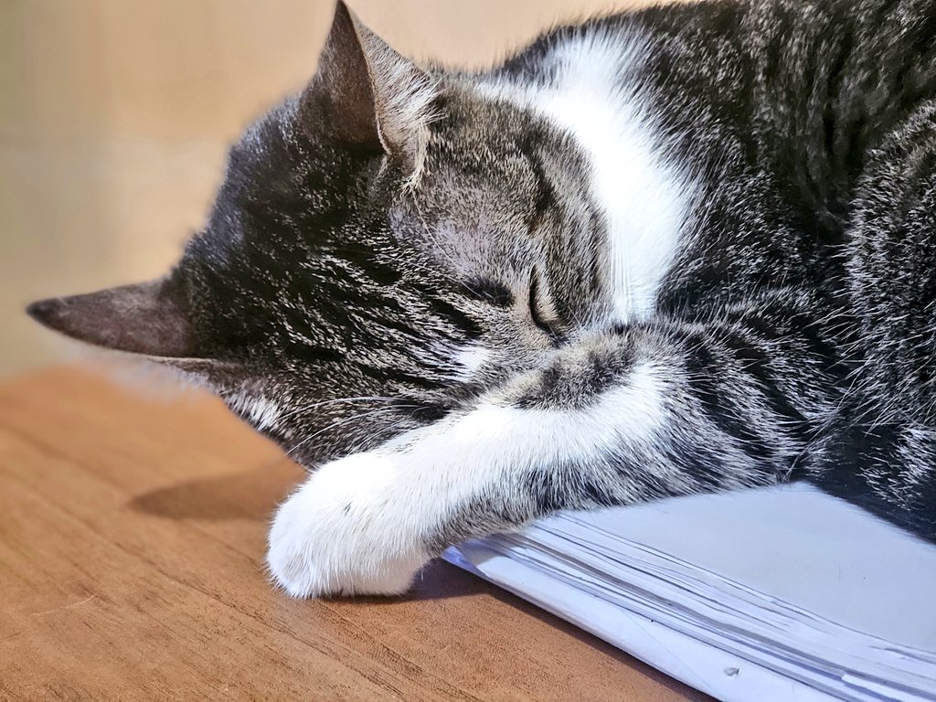 Roberta Andrade tweet media