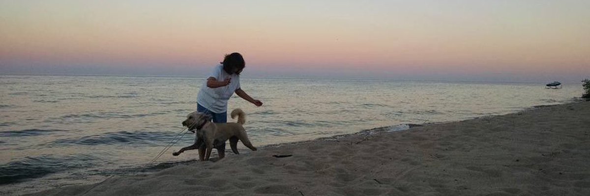 Emma Ziva tweet media