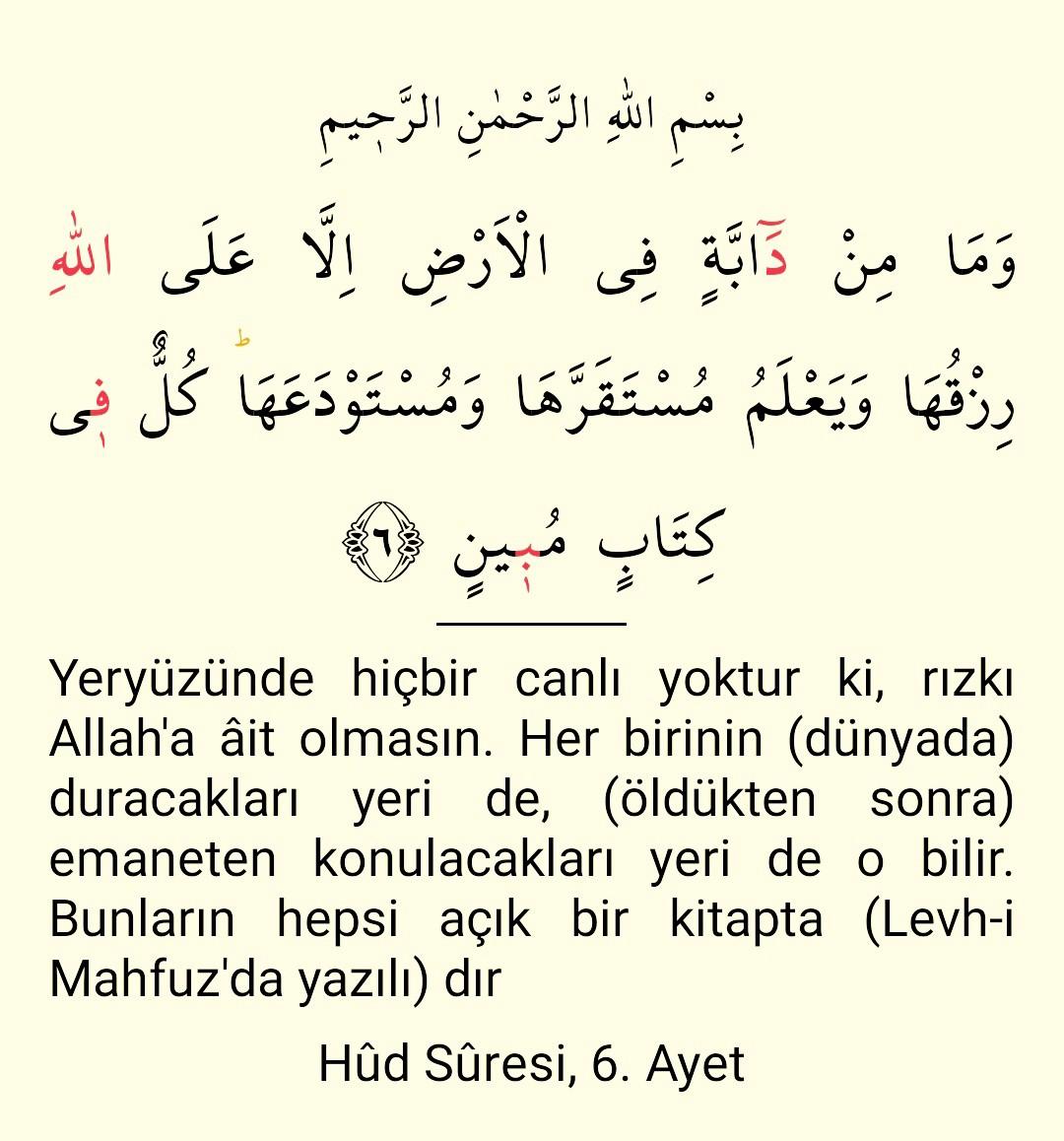 Nureddin_1387's tweet photo. https://t.co/U6slzvhNN4