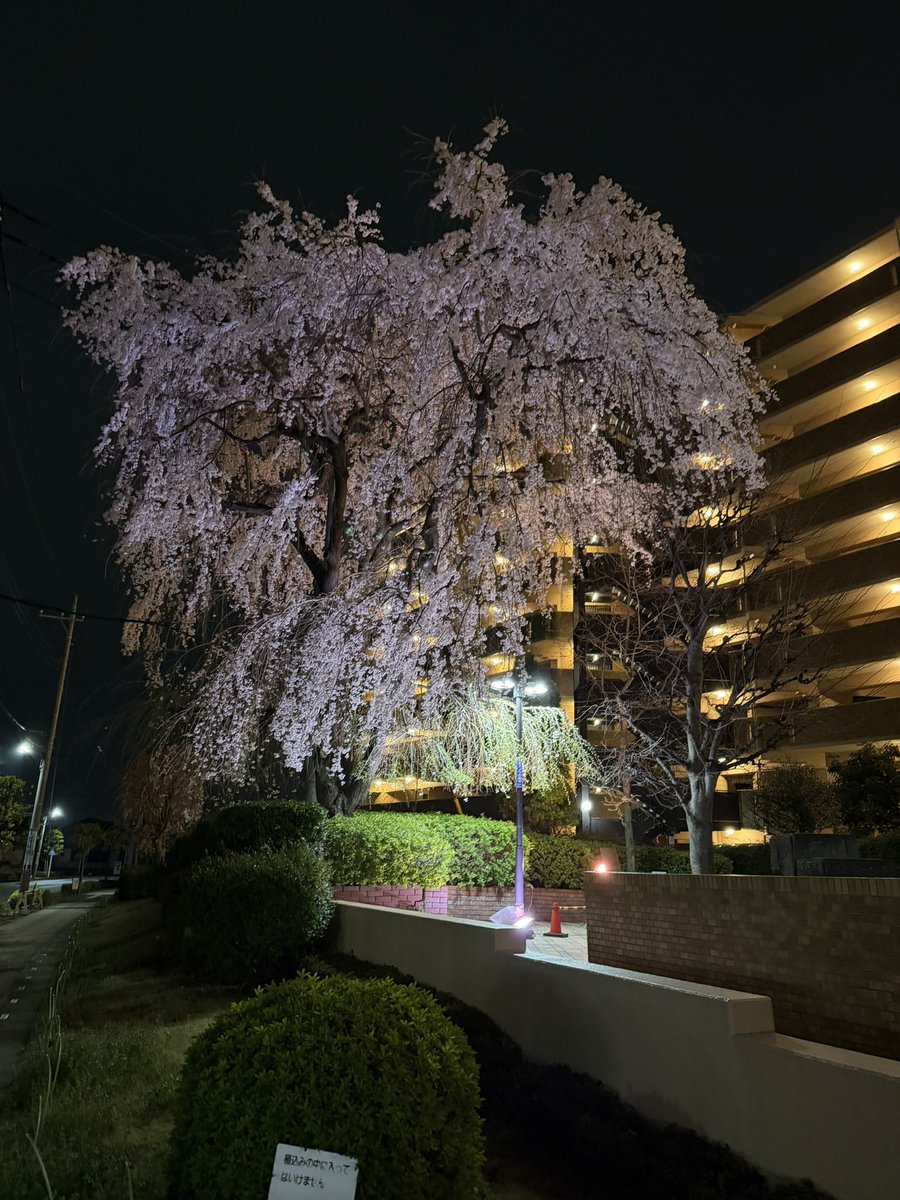 田中くん tweet media