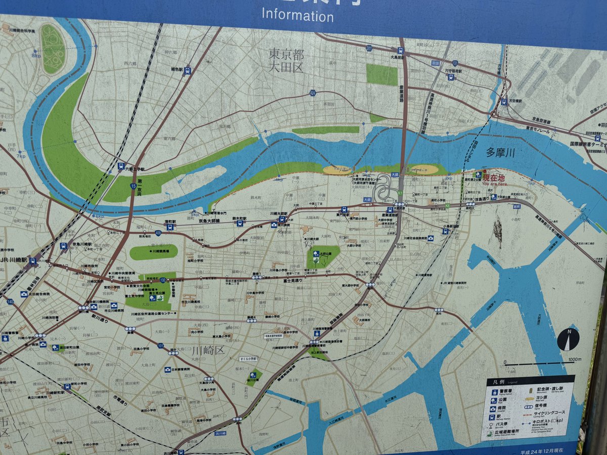 横山緑（本物） tweet media