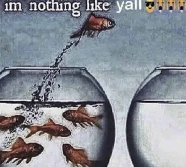 ‎ꫂ᭪݁ | jamjam ٠࣪⭑⸝⸝ ♫ tweet media