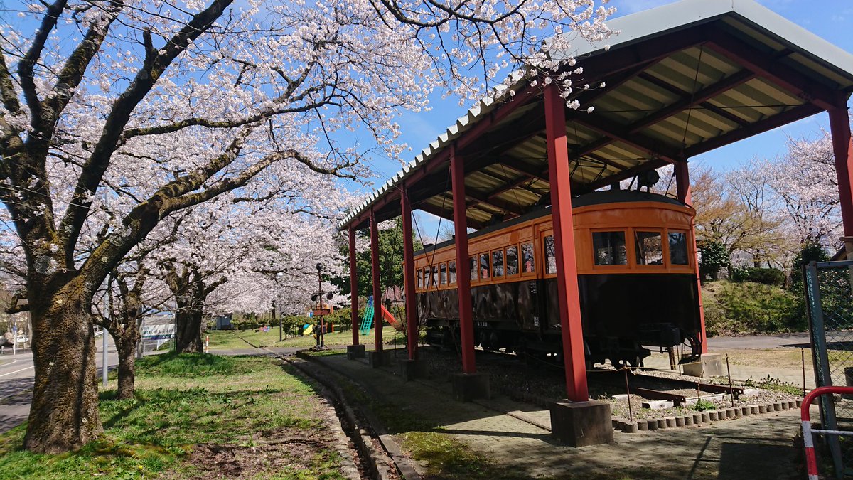 いちねこ🐈😸🀄 tweet media