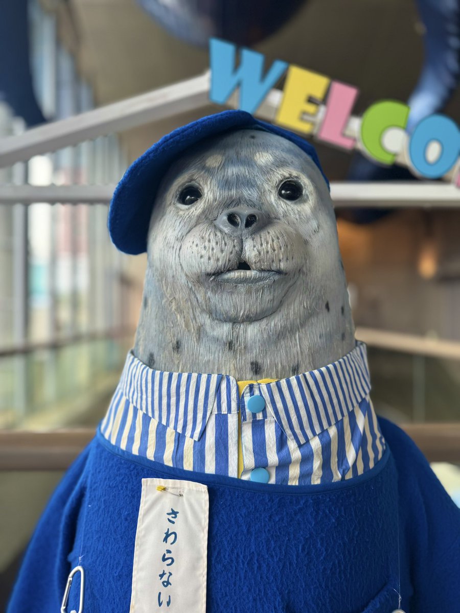 みつこ(残留思念のすがた) tweet media