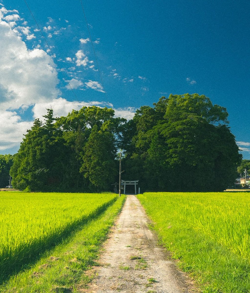 The Nature tweet media