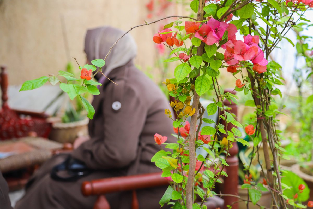 UNDP Afghanistan tweet media