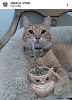 naiki | studytwt 🍎 tweet media