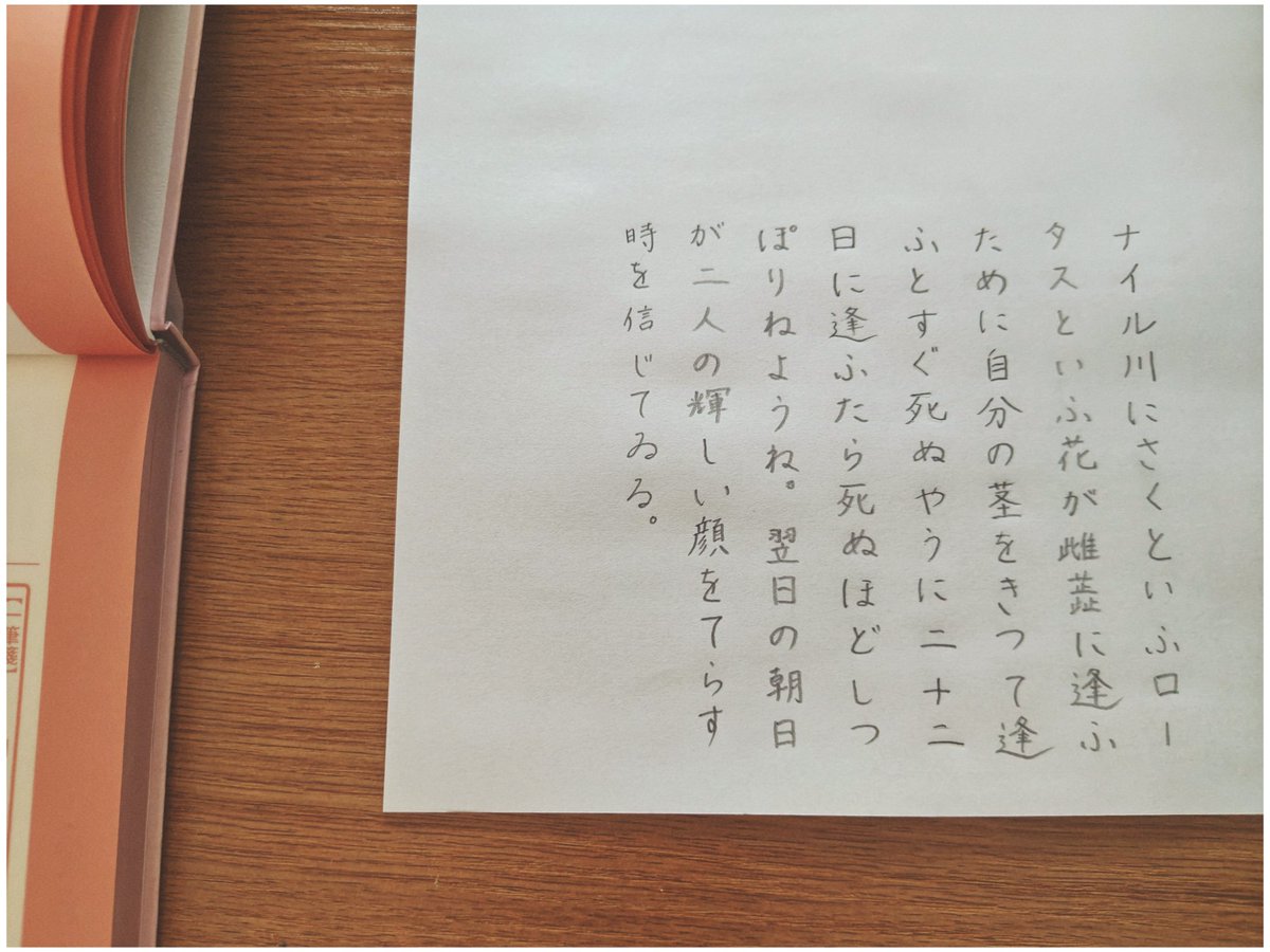 沼田花香(おはな) tweet media