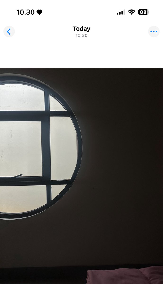 yu🕊️ tweet media