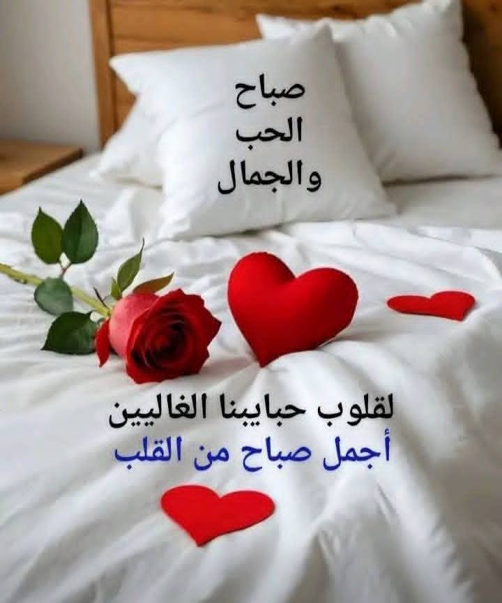 EsamFerig's tweet photo. @wrdljwry967073 https://t.co/nifSRvF5Dv