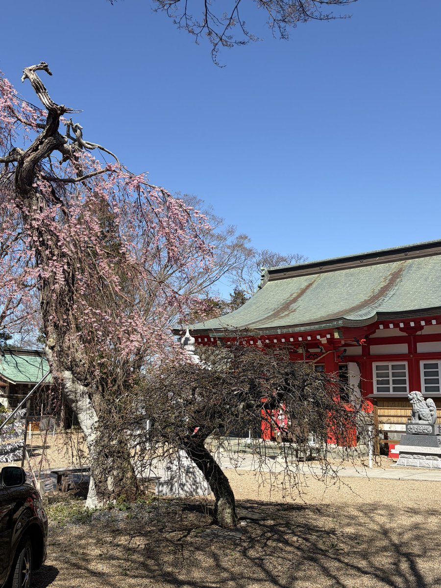 石巻日和山　鹿島御児神社 tweet media